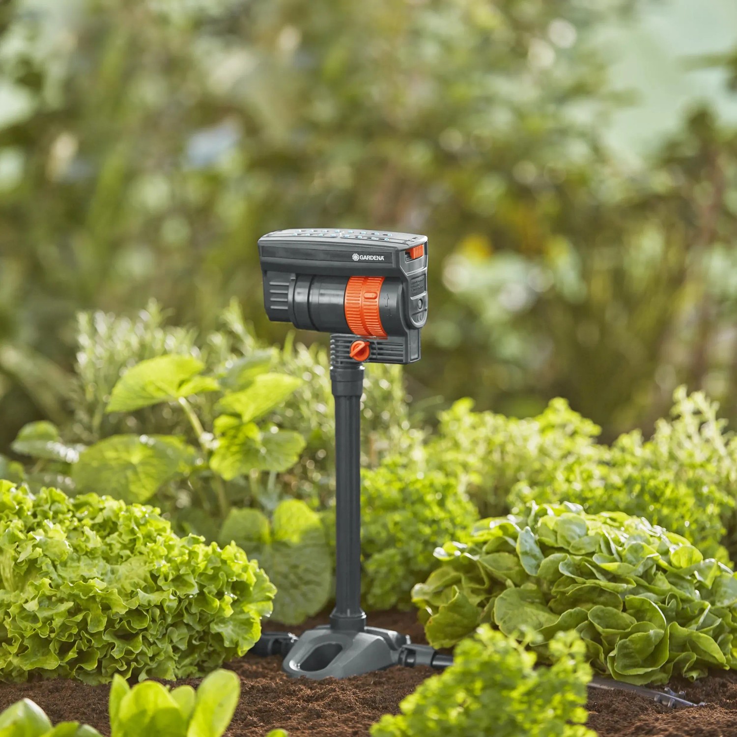 Gardena Viereckregner OS 90 mit Verlängerungsrohr im Beet. Micro-Drip-System zur Bewässerung.