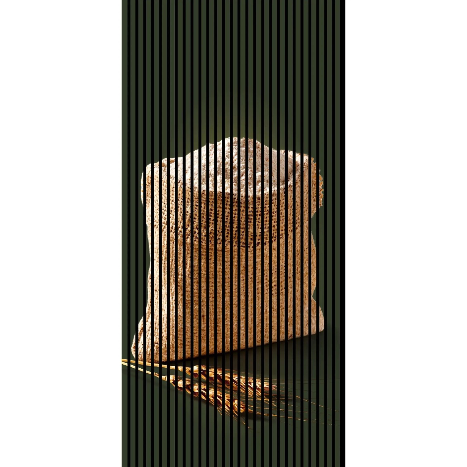 FN Acustico Akustikplatte Backen 2 PET u. MDF Foliert 1.133 x 19 x 2.400 mm