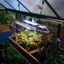 Palram Brighton LED Grow Light im Gewächshaus mit Erdbeeren und Gemüse.