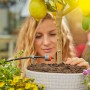 Frau installiert Gardena Solar-Bewässerung Aqua Bloom am Zitronenbaum im Topf.