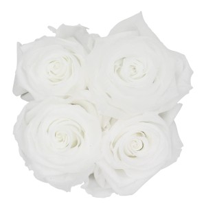 Eckige Rosenbox mit Schleife und 4 weißen Rosen. Romantischer Blumenstrauß.