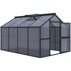 KGT Gewächshaus Novum IV, tannengrün, 11,14 m² mit geöffneter Tür und Dachfenster.