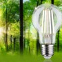 Paulmann E27 LED Leuchtmittel in Glühlampenform, 2,5W, vor grünem Hintergrund.