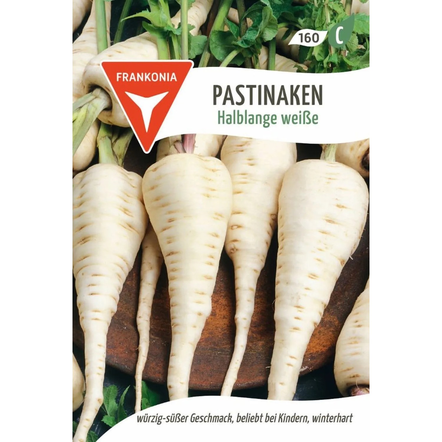 FRANKONIA Pastinaken Weiß