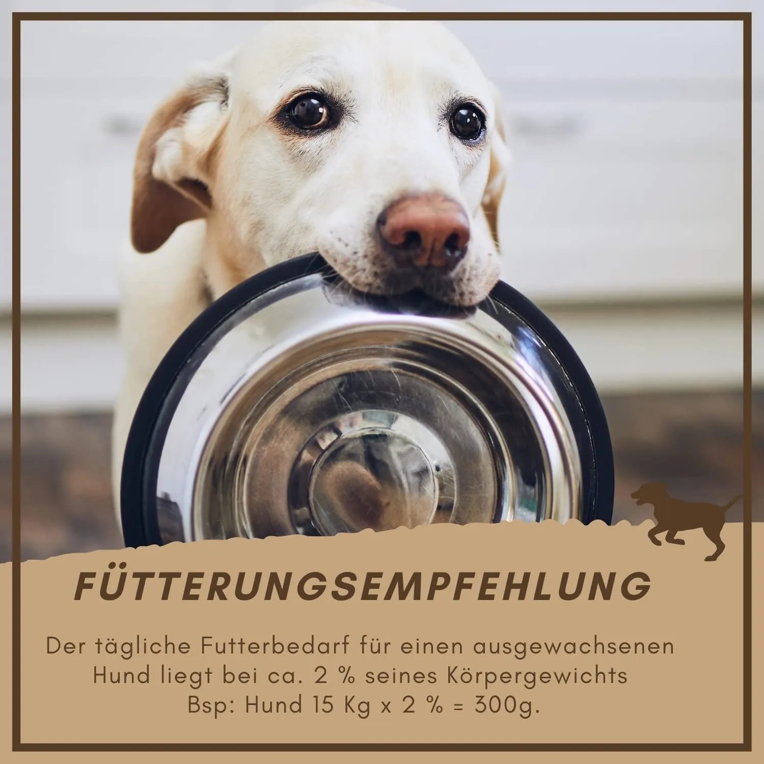 Helles Hund hält leeren Metallnapf im Maul, blickt erwartungsvoll. Supravit Hundetrockenfutter mit Huhn.