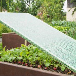 Windhager Gitterfolie Strong, 150x500cm, schützt Radieschen im Hochbeet vor Unkraut und Schädlingen.