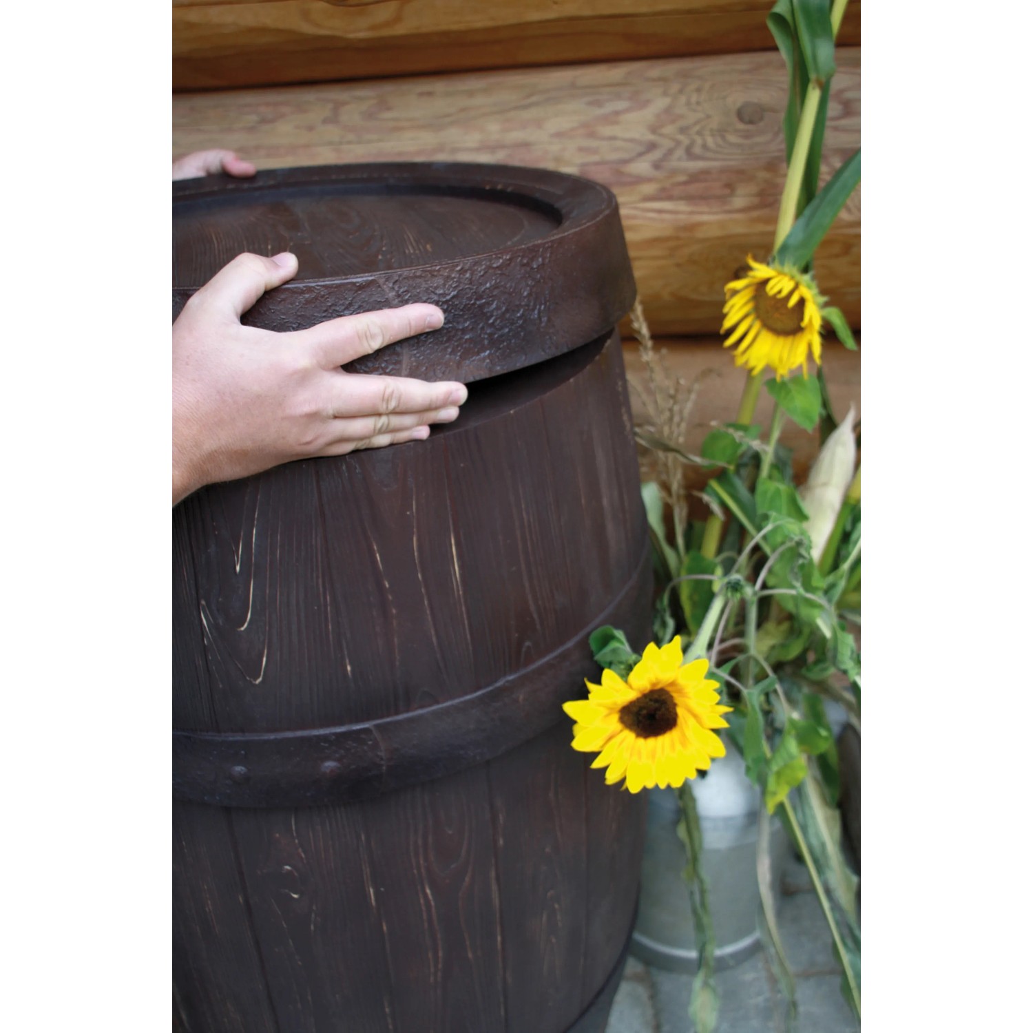 Dunkelbraune Arves Regentonne Barrique 250 l in Holzfass-Optik mit Deckel und Sonnenblumen.