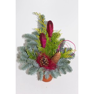 Grabgesteck Waldtopf Nobilis Erika, ca. 12 cm, mit Tanne, Koniferen, Zapfen und roter Deko im Topf.