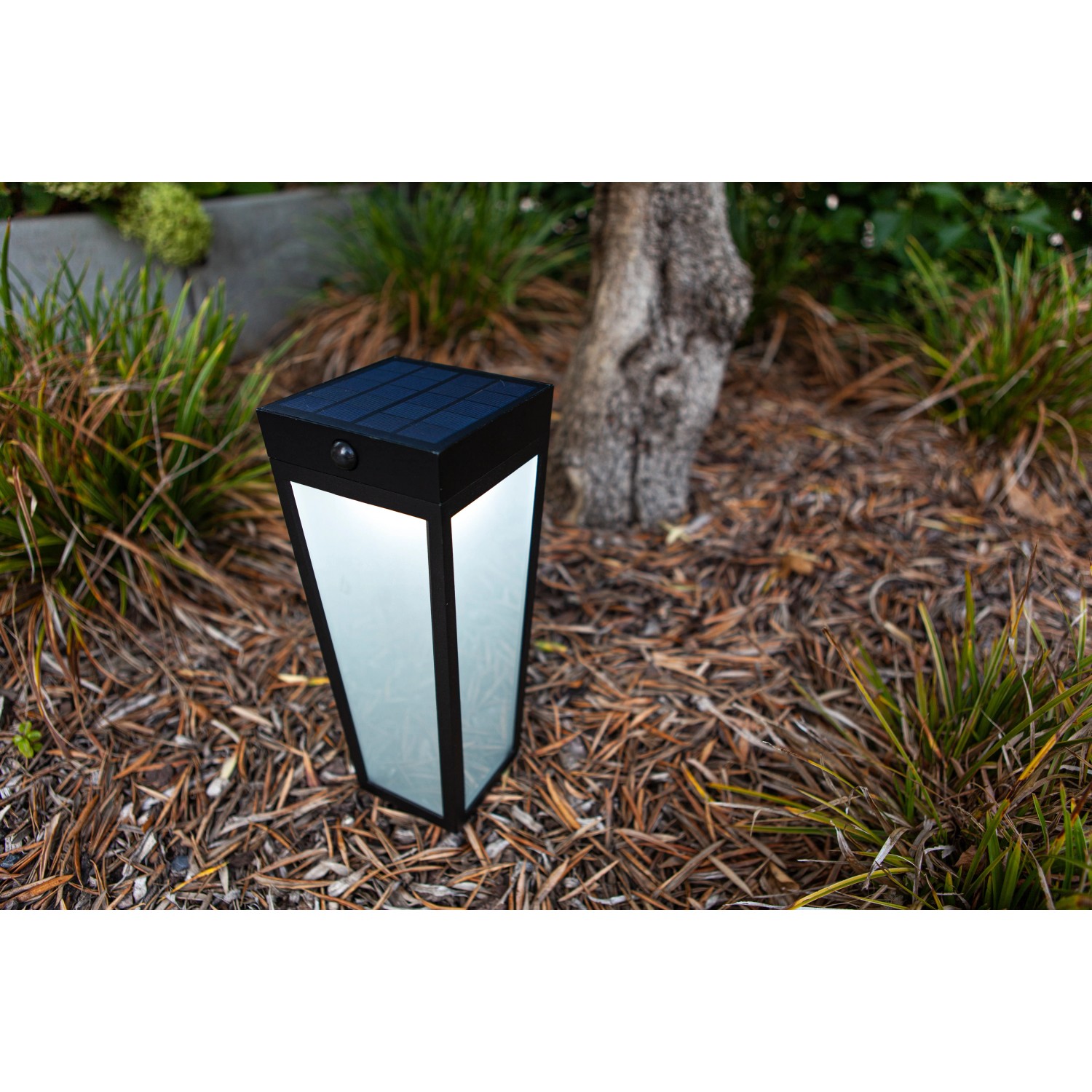 Moderne, mattschwarze Lutec LED Solar Wegeleuchte Dias im Garten.