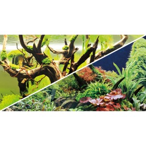 Aquariumrückwand mit zwei Motiven: Wurzeln mit Moos (Wood Island) und dichte Wasserpflanzen (Green Secret).