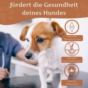 Wildfang Lachsöl 100 % Natürliches BARF Öl für Hunde