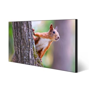 Banjado Magnettafel mit Eichhörnchen-Motiv, 78x37cm, ideal als Wanddekoration & Pinnwand.