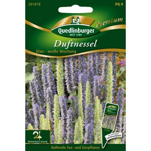 Quedlinburger Duftnessel blau-weiße Mischung als Blumensamen-Packung. Winterharte Staude mit duftenden Blüten.