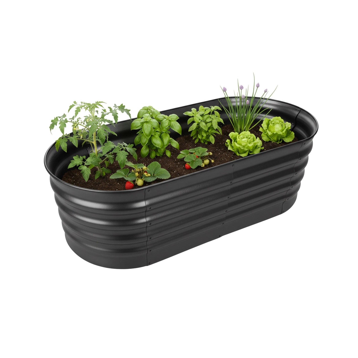 Relaxdays Hochbeet Halbrund Metall Anthrazit Bodenfrei 45 cm x 150 cm x 60 cm 9,3 kg