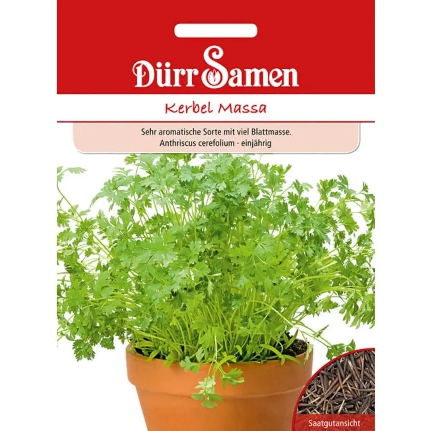 Dürr Samen Kerbel Massa Saatgut