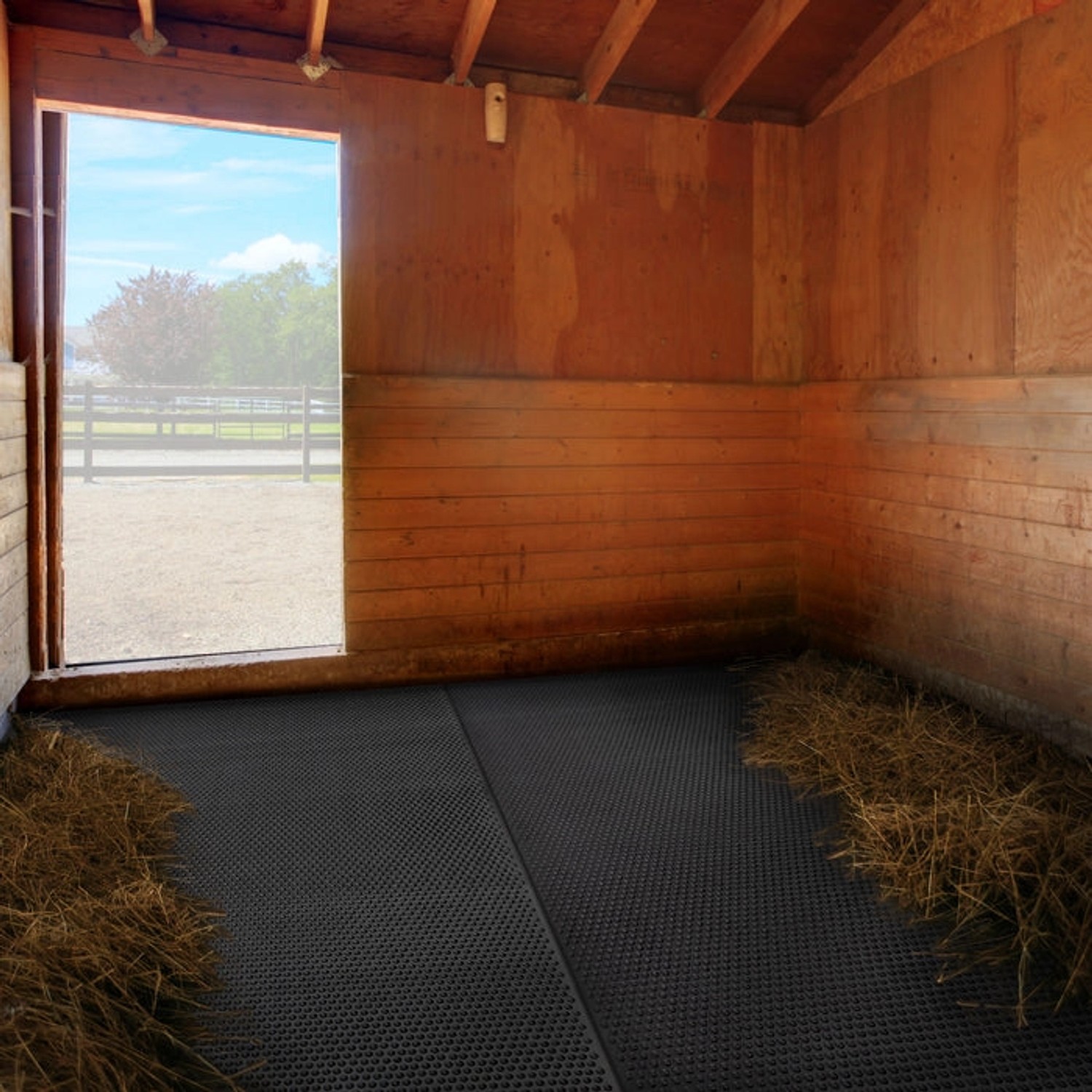 KARAT Stallmatte Noppen im Stall, Drainagematte, 183x122 cm, robust und rutschfest.