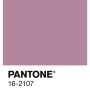 Alpina Innenfarbe Pantone Orchid Haze. Pastellviolette Wandfarbe als Farbmuster mit Pantone-Code 16-2107.