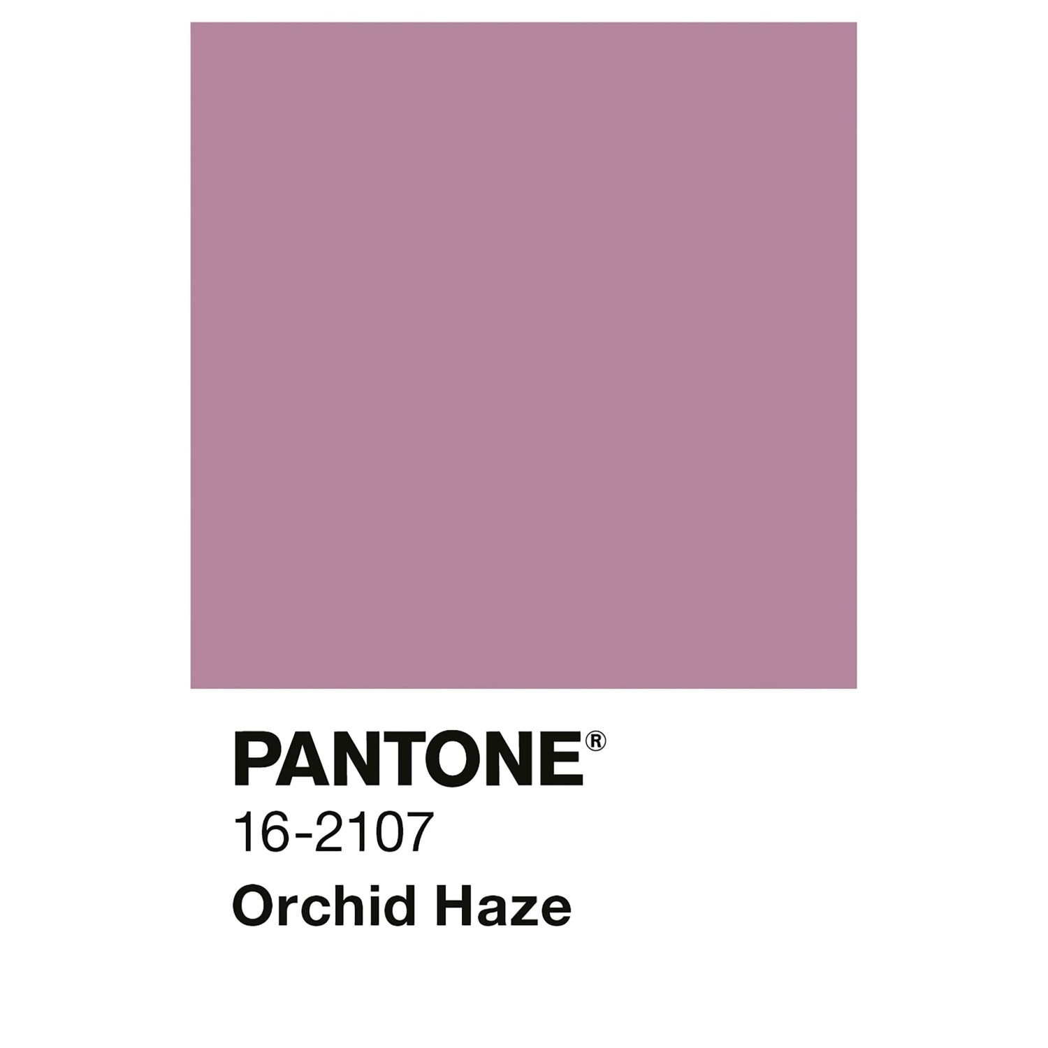 Alpina Innenfarbe Pantone Orchid Haze. Pastellviolette Wandfarbe als Farbmuster mit Pantone-Code 16-2107.