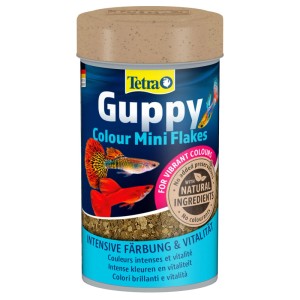 Blauer Tetra Guppy Color Mini Flakes Behälter mit bunten Guppys und braunem Flockenfutter für Zierfische.