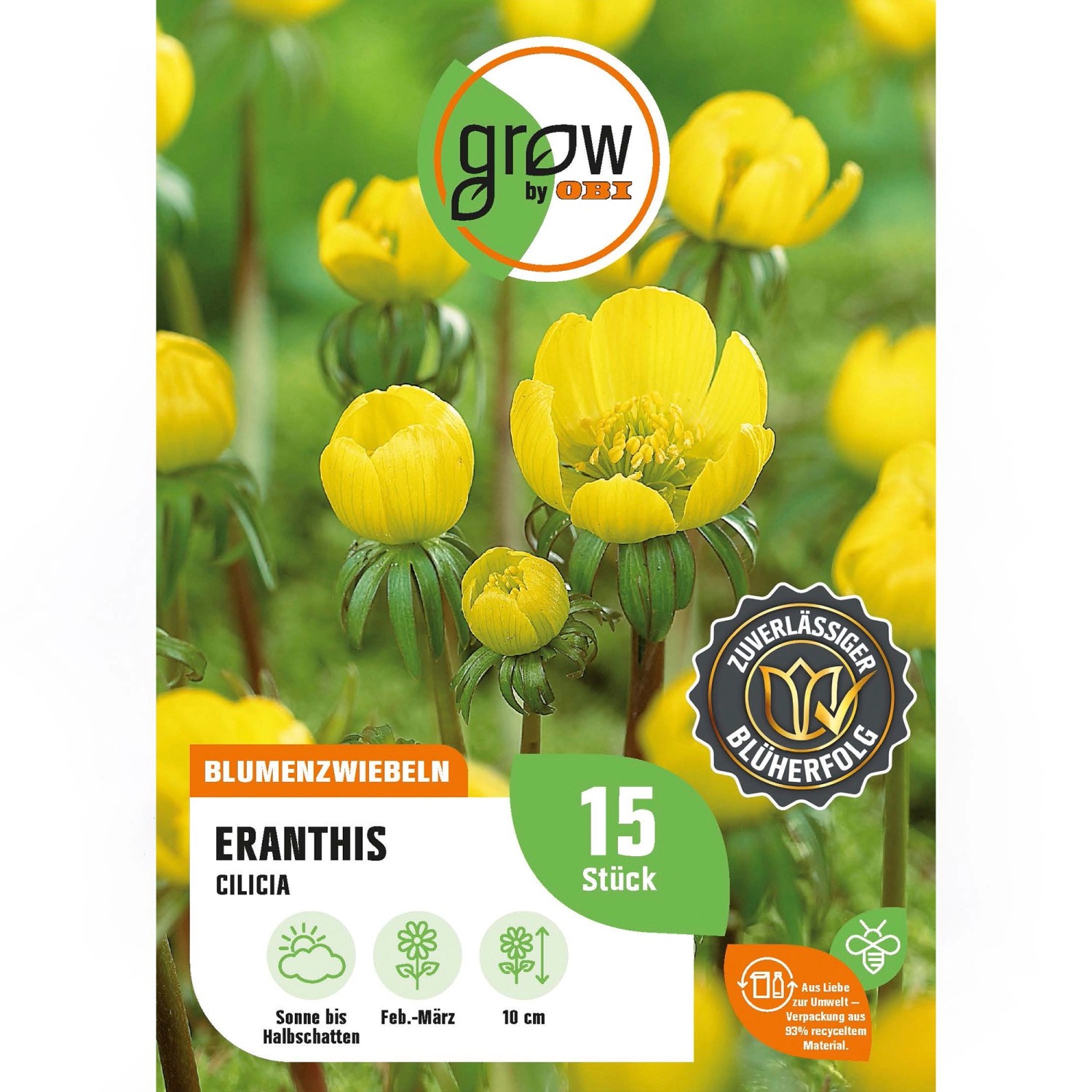 GROW by OBI Winterling Gelb 10 cm Eranthis cilicica kaufen bei OBI