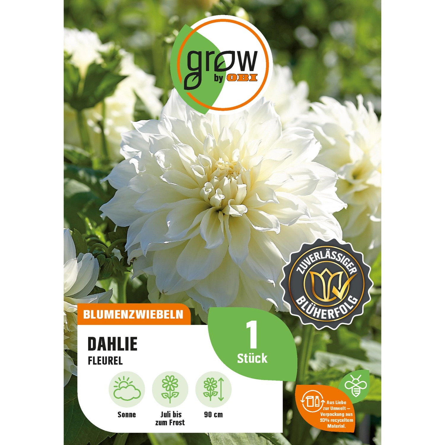 GROW by OBI Dahlie Fleurel Höhe ca. 90 cm günstig online kaufen