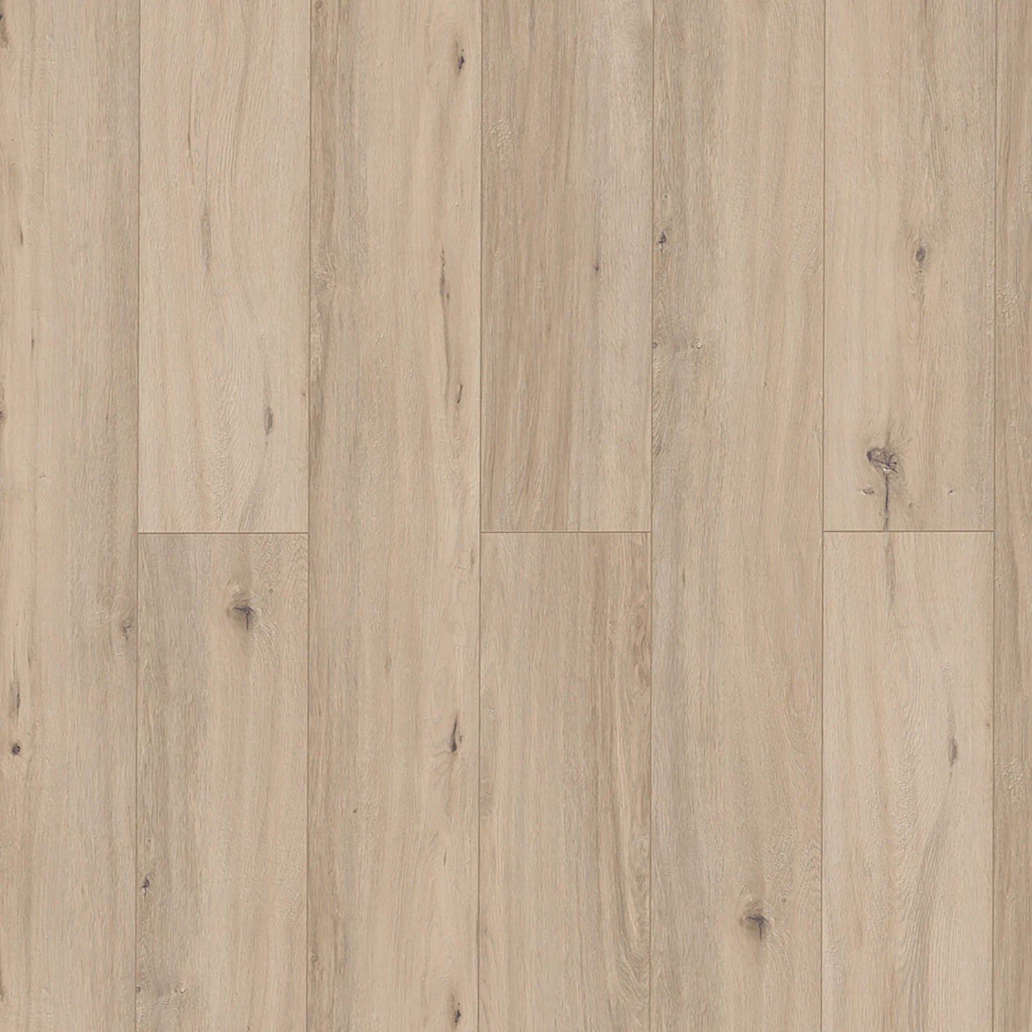 Classen Grande XXL Laminat Eiche Bellevue graubraun, wasserfest, 8mm stark.