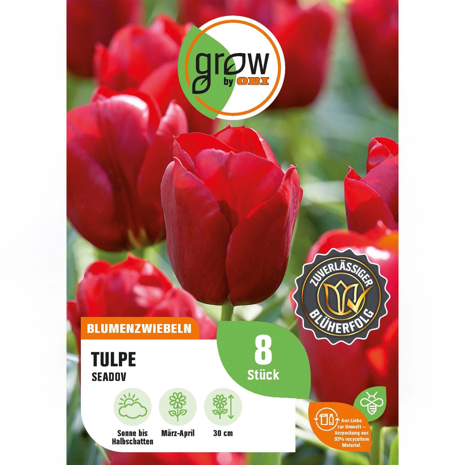 GROW by OBI Tulpe Seadov Rot 8 Stück Tulipa triumph Seadov günstig online kaufen