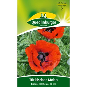 Samenpackung Türkischer Mohn 'Brillant' mit feuerroten Blüten und schwarzer Mitte.