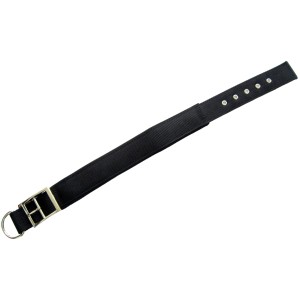 Schwarzes Heim Hundehalsband aus Nylon mit Neoprenfutter, 38 mm breit und 60 cm lang.