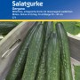 Kiepenkerl Salatgurke Gergana Samen, grüne, leicht gerippte Gurken in Holzkiste.