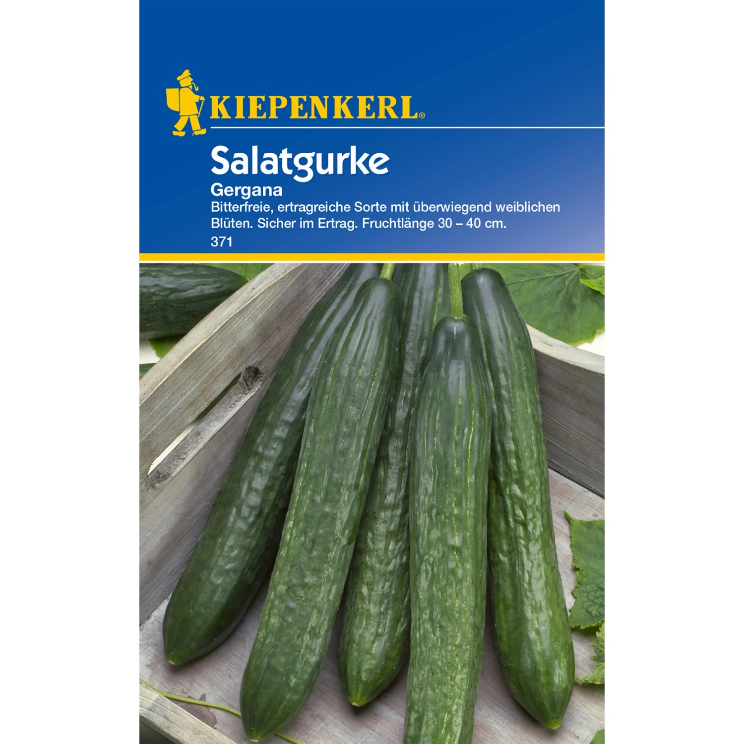 Kiepenkerl Salatgurke Gergana günstig online kaufen