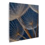 Weißer Banjado Schlüsselkasten mit Glasfront, Motiv Verblüht, 50 Haken, magnetisch und beschreibbar.