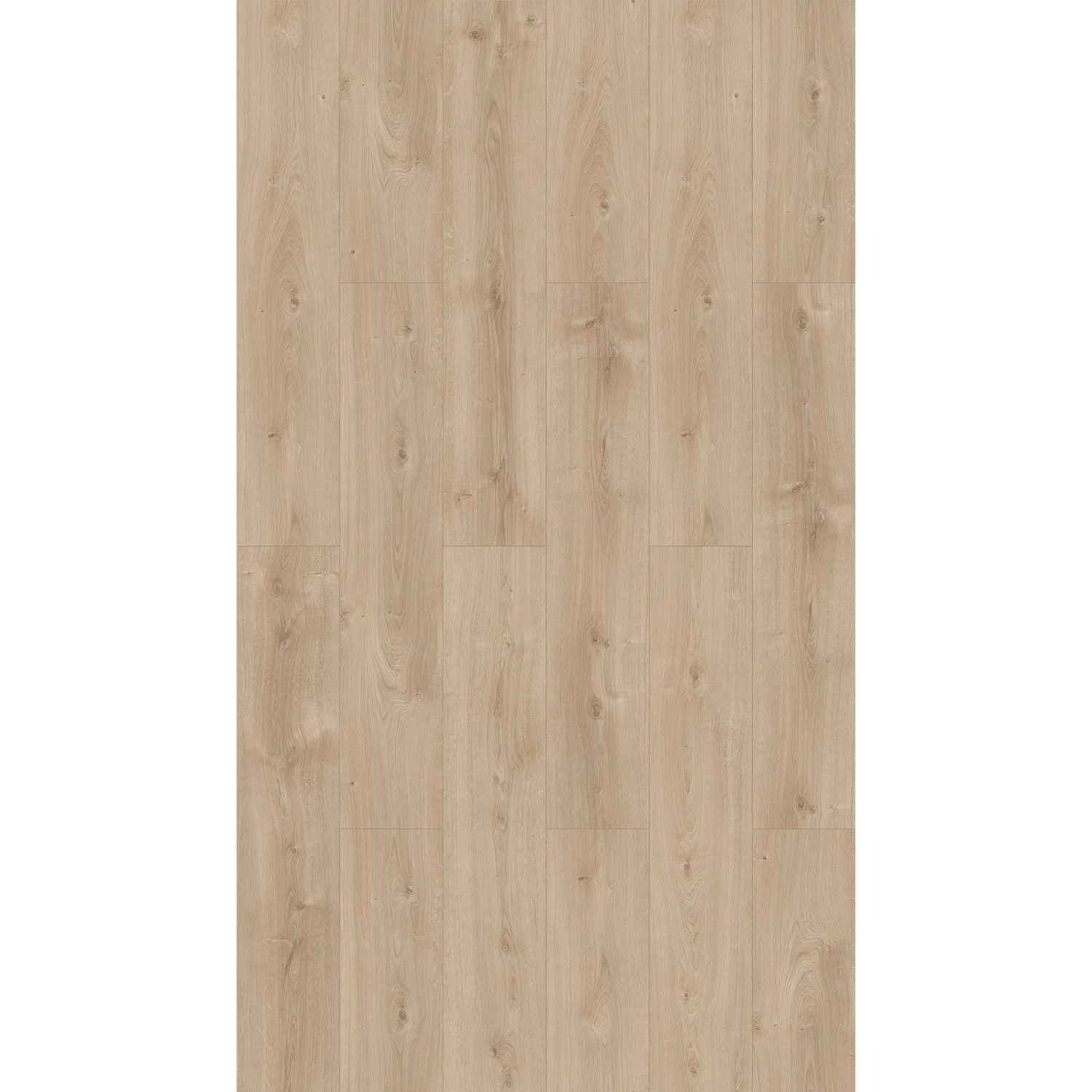 Parador Basic 600 Laminat, 8mm, wasserfest, helle Holzoptik. Strapazierfähiger Laminatboden für Wohn- und Gewerberäume.