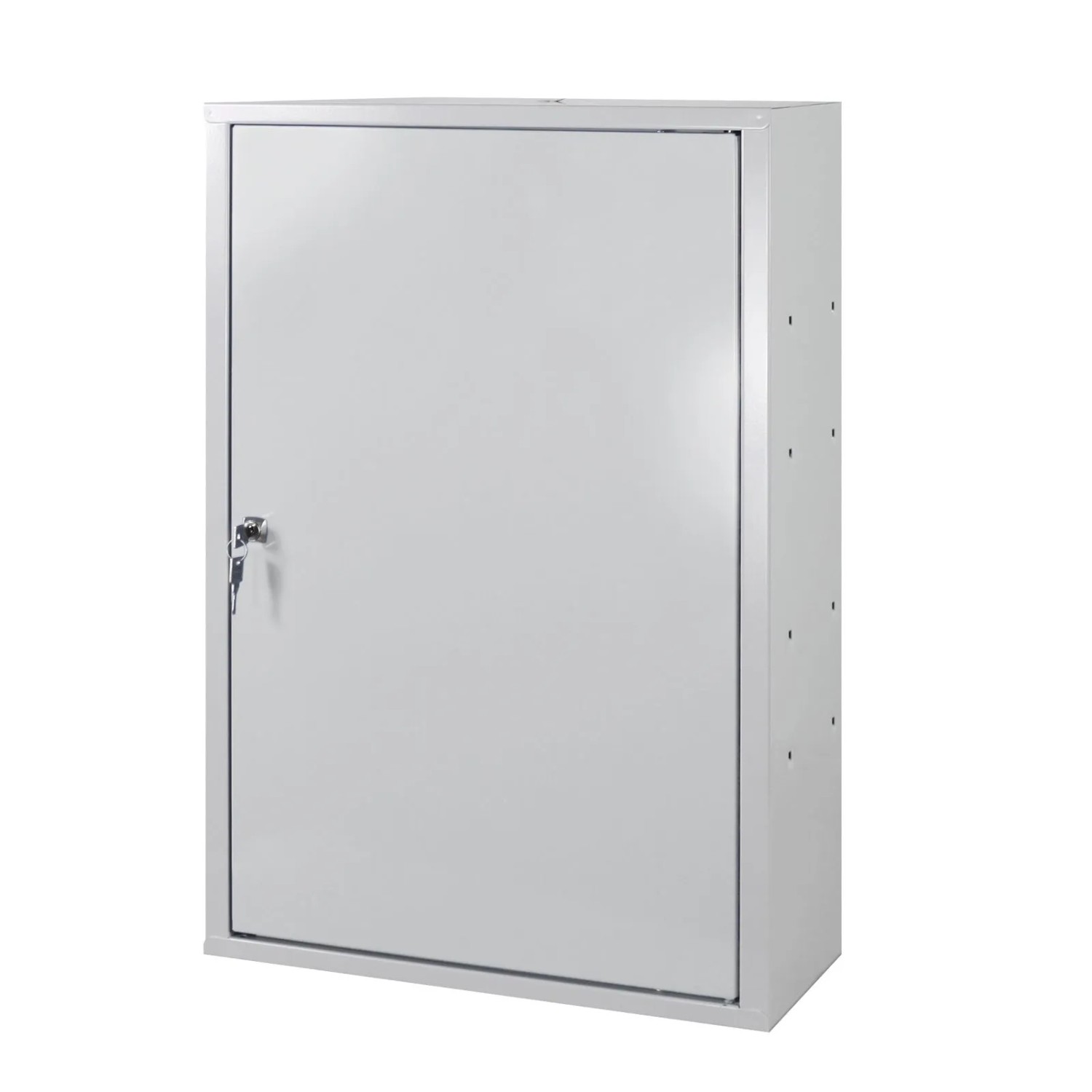 PROREGAL Werkzeugwandschrank Mit Tür & 8 Haken HxBxT 75x50x20cm Lichtgrau