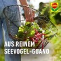 Person hält einen Korb mit Gemüse, gedüngt mit Compo Bio NaturDünger Guano.