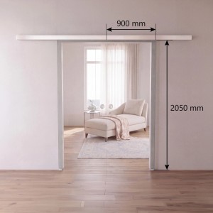 Doorlegro Glasschiebetür 2-flügelig Klar Silber 1.025 mm x 2.050 mm