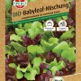 Sperli Bio Babyleafsalat Samenmischung für Beet, Kübel und Hochbeet.
