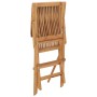 vidaXL Gartenstühle mit Roten Kissen 2 Stk Massivholz Teak 3062508_6