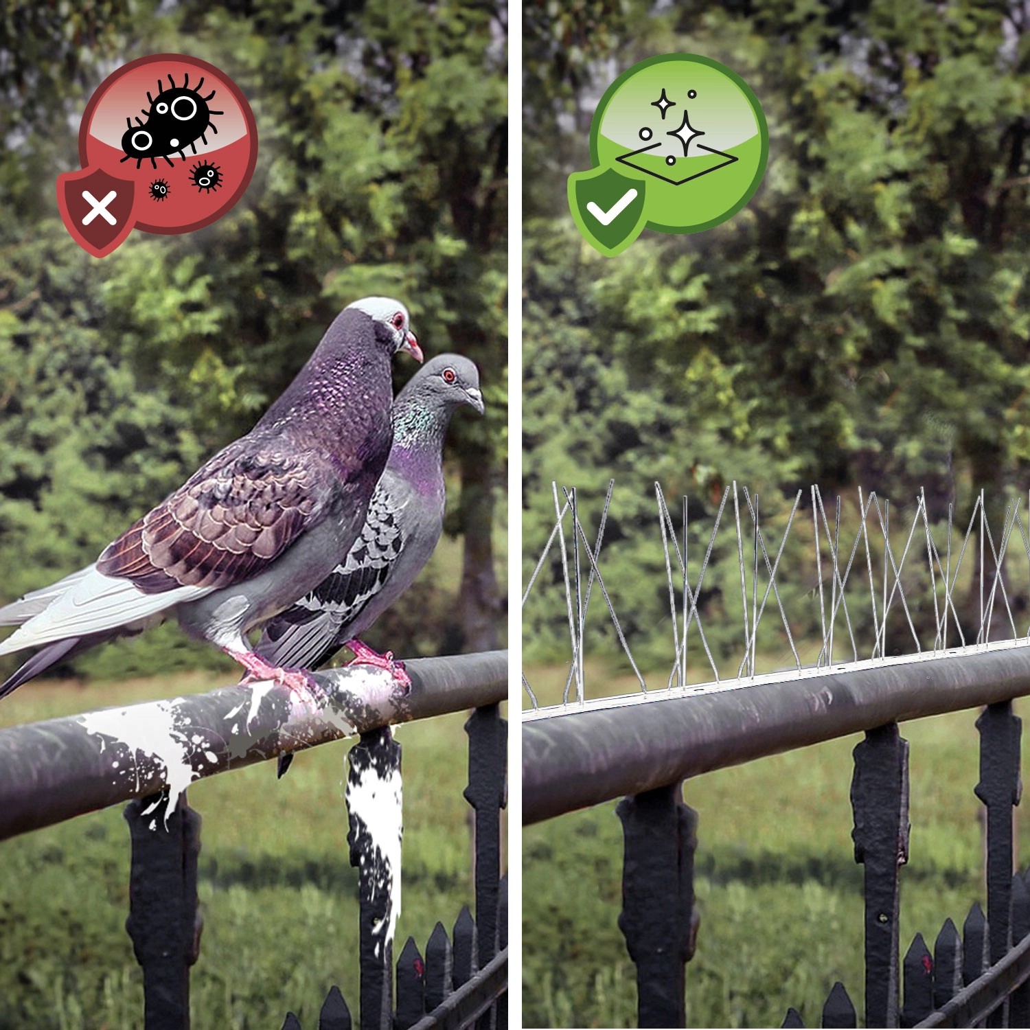 Taubenabwehr Kleber - Spezialkleber Für Taubenstop System