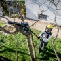 Mann schneidet Baum mit Metabo Akku-Gehölzsäge MS 18 LTX 15. Inkl. Akku, Ladegerät und Tasche.