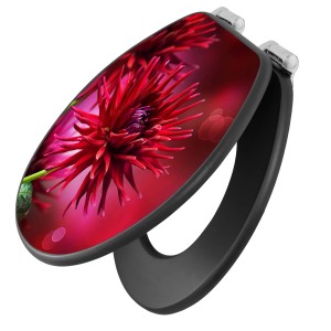 Anthrazit WC-Sitz mit Absenkautomatik und Motiv Rote Dahlien von Banjado.