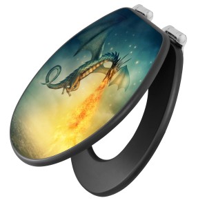 Anthrazit WC-Sitz mit Absenkautomatik und Drachen Motiv von Banjado.