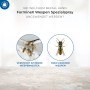 Anwendungsbereiche des FormineX Wespen Spezialsprays: Wespen und Wespennester.