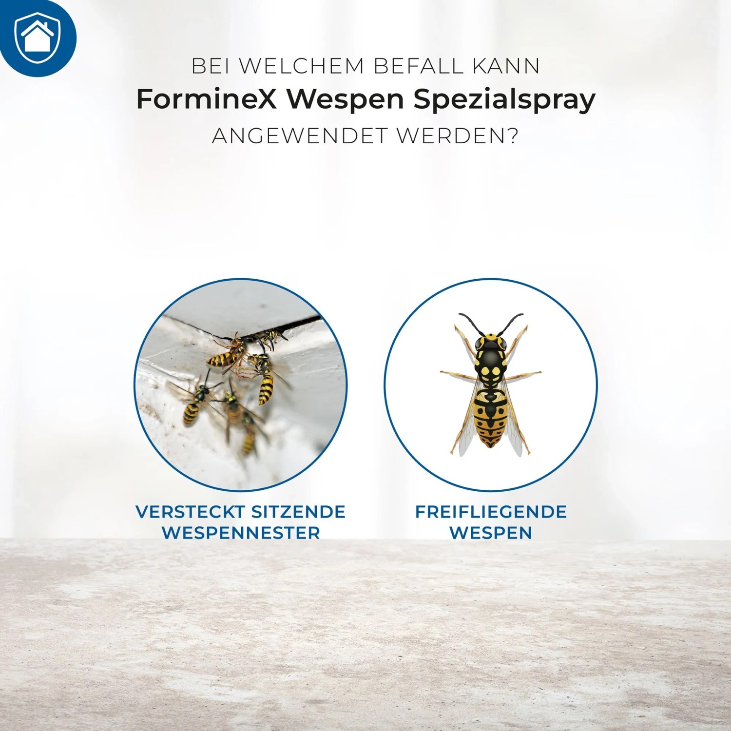 Anwendungsbereiche des FormineX Wespen Spezialsprays: Wespen und Wespennester.