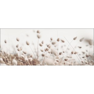 Pro Art Glasbild Field Flowers, 125x50 cm, mit zarten Gräsern und Blüten in Beige- und Brauntönen.