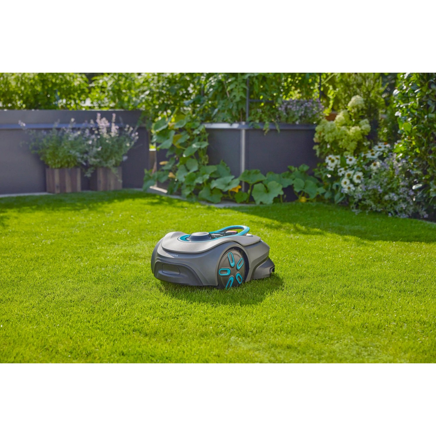 Gardena Mähroboter Sileno Smart Free 600 auf Rasen. Kabelloser Rasenmäher mit Ladestation im Garten.