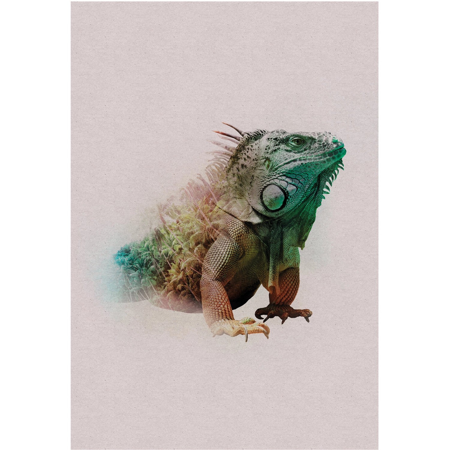 Komar Wandbild Animals Iguana 50 x 70 cm