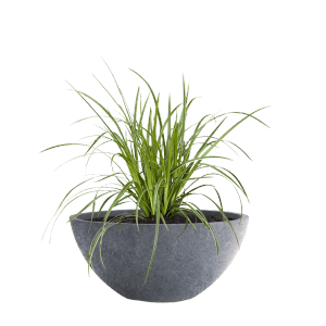 Pflanzwerk Pflanzschale Bowl Premium Frostbeständig Lava 45 cm Dunkelgrau