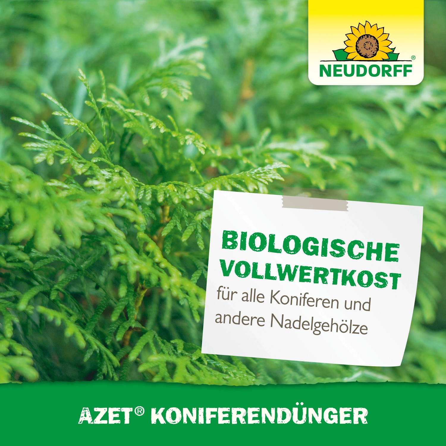 Neudorff Azet Dnger fr Koniferen Langzeitdnger 2,5 kg NPK 9-3-5 kaufen  bei OBI