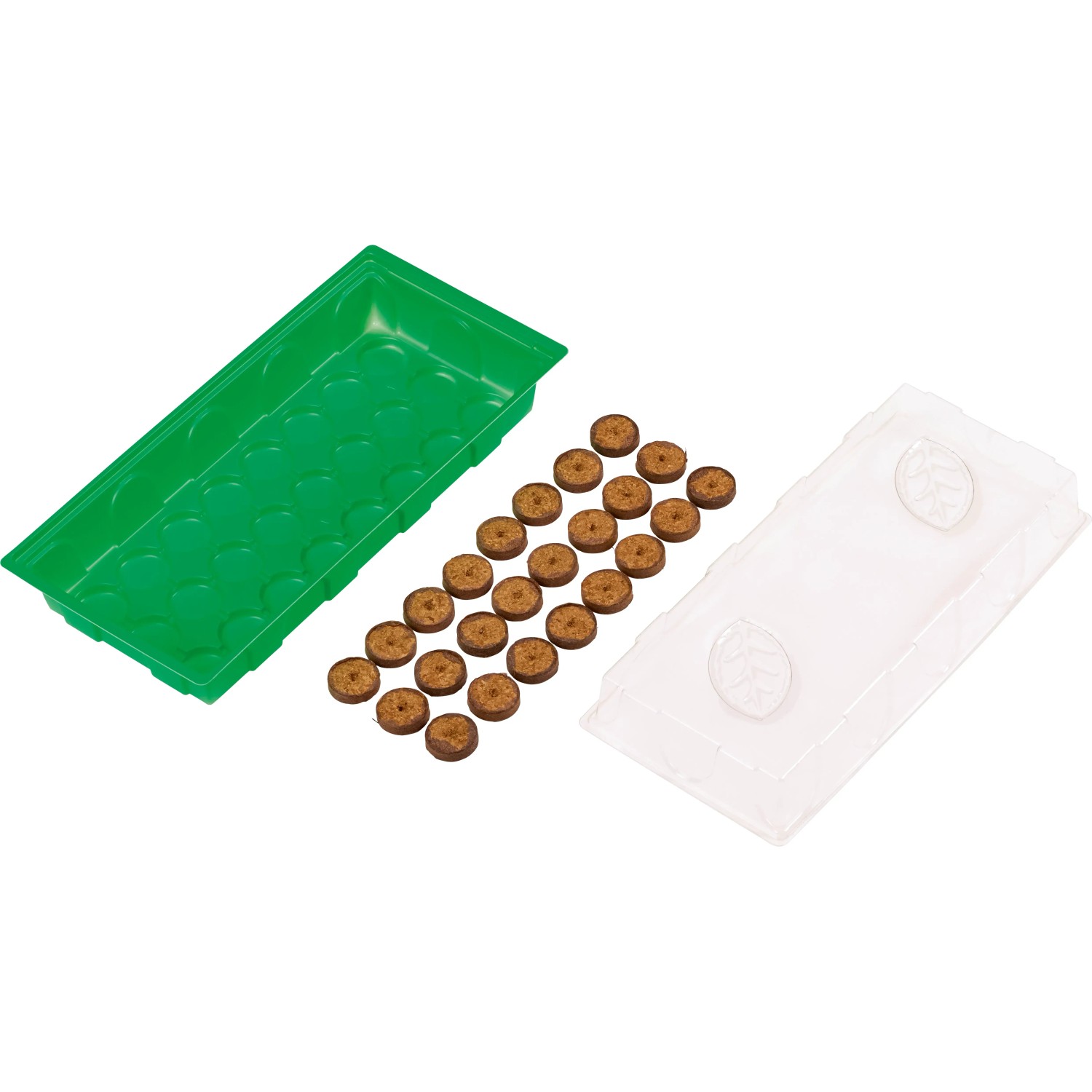 Anzuchthaus mit 28 Quell-Tabs: Zimmer-Gewächshaus mit grüner Schale und transparentem Deckel.